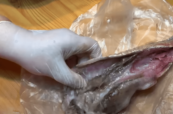 طريقة تنظيف الفسيخ3.jpg